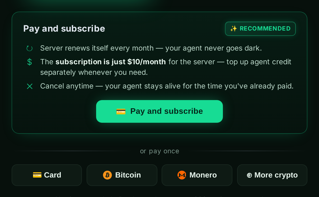 The “Pay and subscribe” panel with card and crypto options