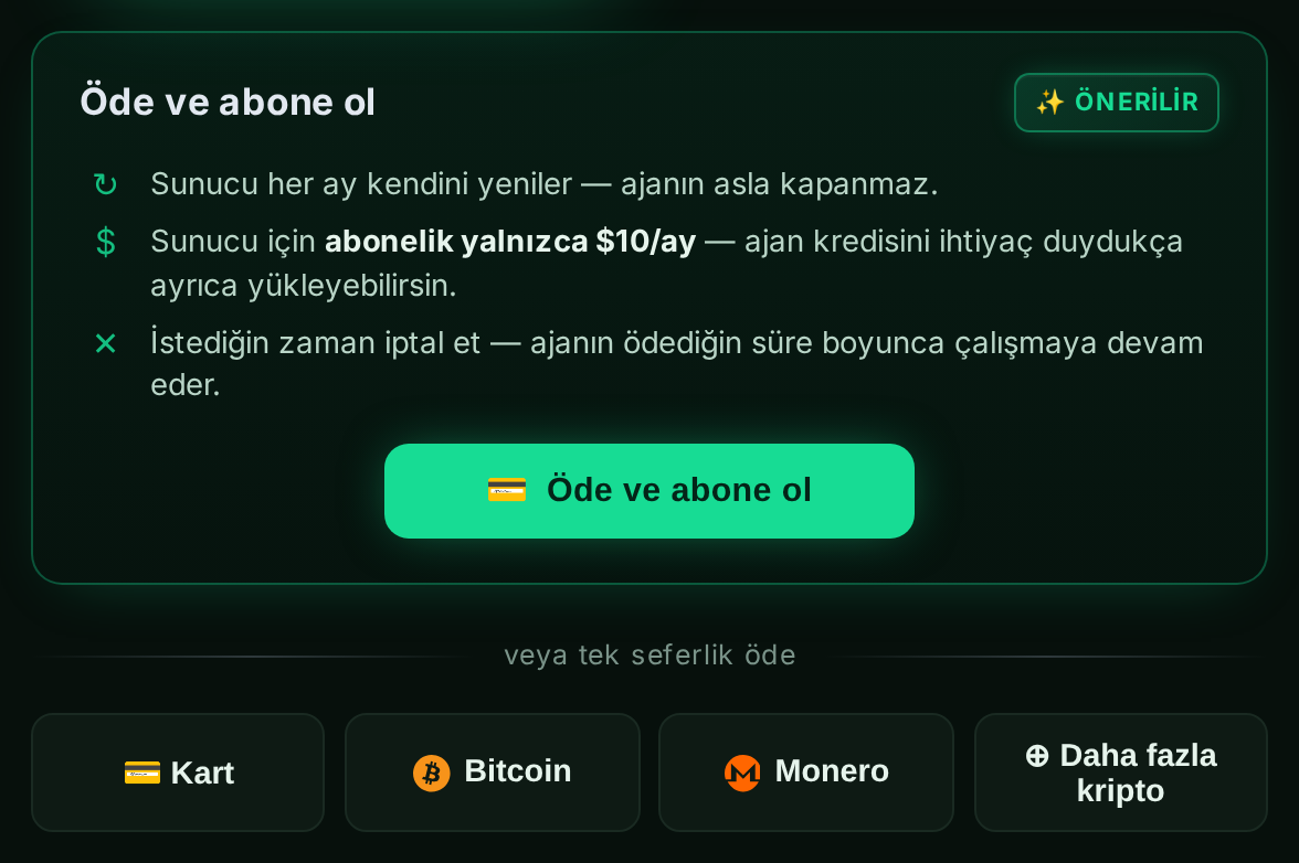 Kart ve kripto seçenekleriyle “Öde ve abone ol” paneli